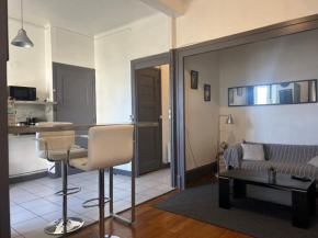 Spacieux cosy - 1 chambre Appartement - LYON Perrache Confluence 50 M2